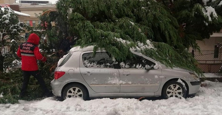 Zonguldak’ta Ağaçlar Otomobillerin Üzerine Devrildi