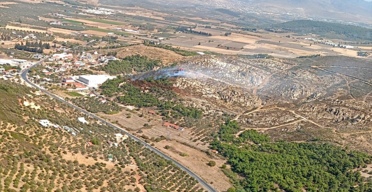 İzmir Foça'da Orman Yangını: Müdahale Başladı