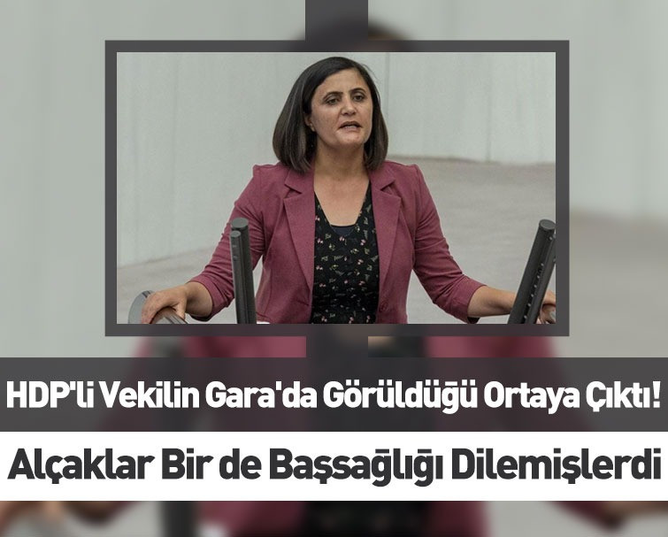 HDP'li Taşdemir'i Gara'da Gördüğünü Söyleyen PKK'lının İfadesi Ortaya Çıktı