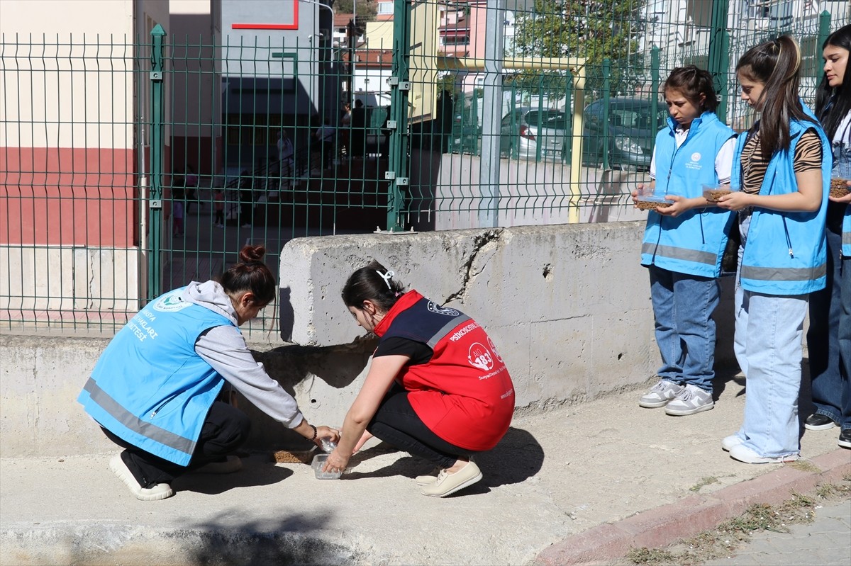 Amasya'da öğrenciler, sokaklarda uygun yerlere kedi ve köpekler için mama ve su koydu. Aile ve...