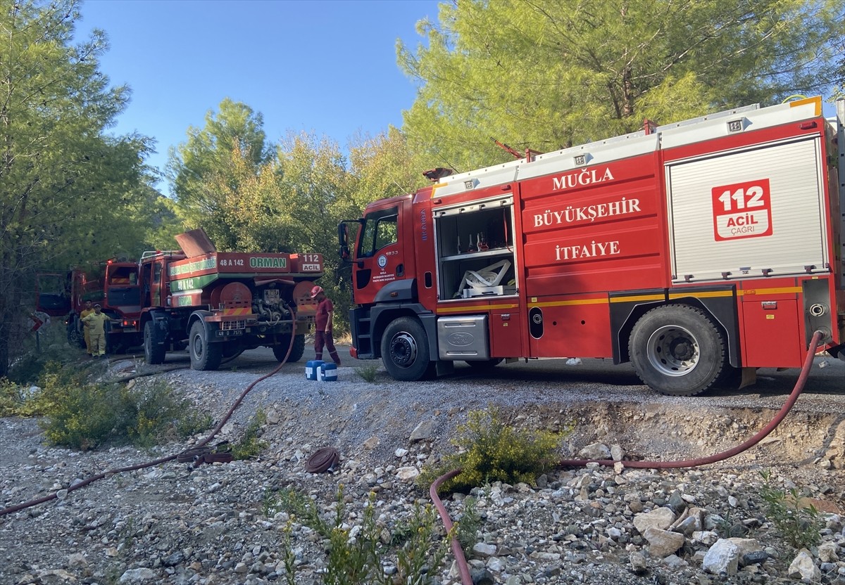 Muğla'nın Dalaman ilçesinde çıkan orman yangınına müdahale ediliyor. Akkaya Vadisi'ndeki ormanlık...