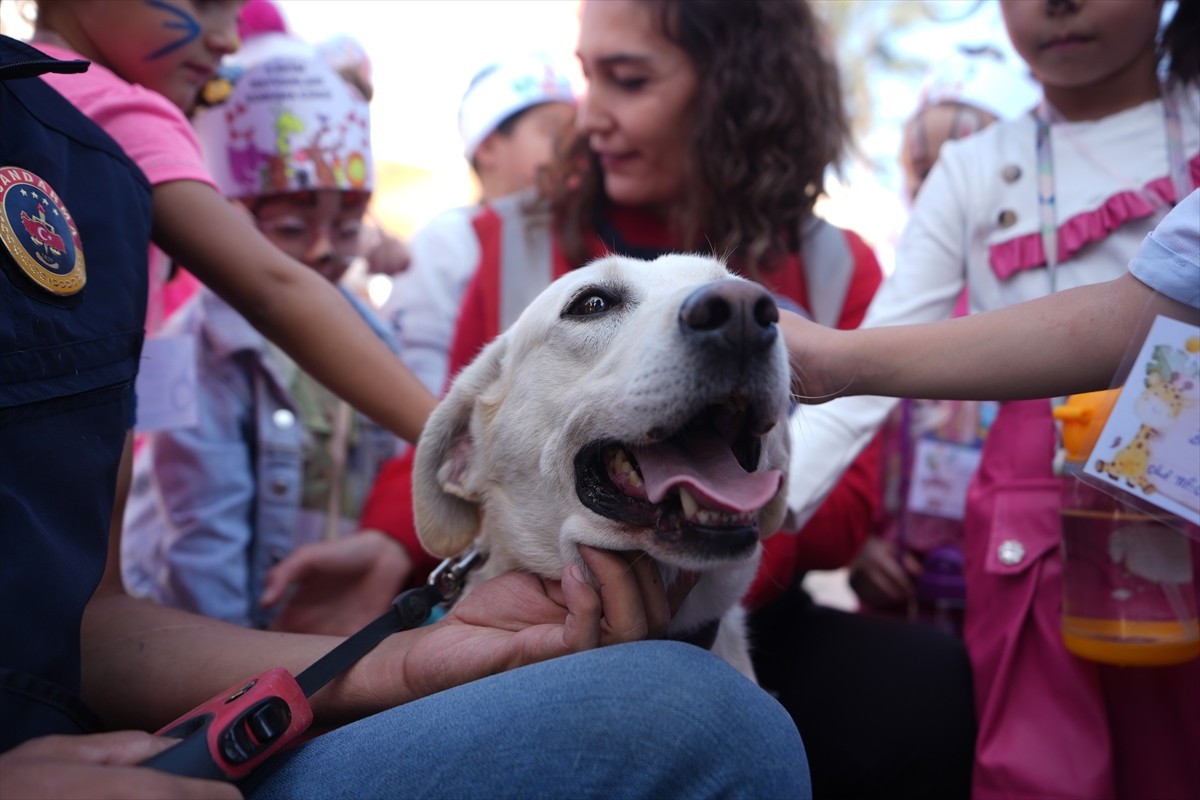 Düzce'de 4 Ekim Hayvanları Koruma Günü dolayısıyla düzenlenen 