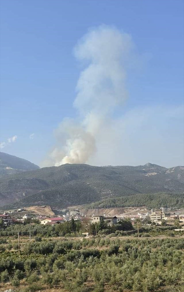  Havadan ve karadan müdahale edilen yangın, kısa sürede kontrol altına alındı.Gaziantep'in...