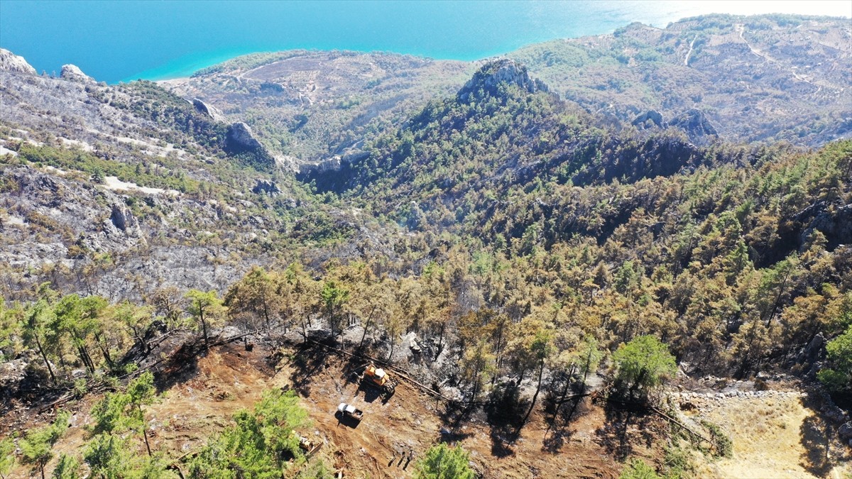 Muğla'nın Menteşe ilçesinde 18 Ekim'de çıkan ve dün sabah kontrol altına yangının diğer...