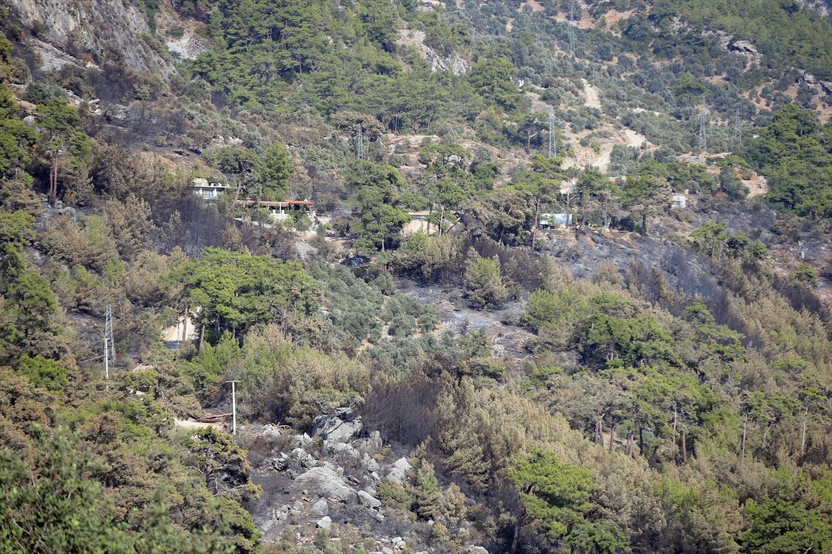 Muğla'nın Menteşe ilçesindeki orman yangını, havadan ve karadan müdahaleyle kısmen kontrol altına...