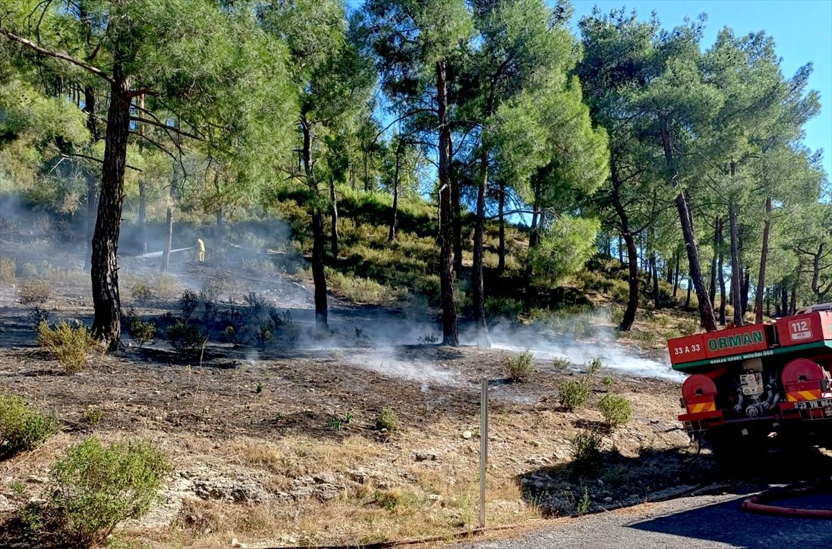 Mersin'in Erdemli ilçesinde çıkan orman yangını karadan müdahaleyle kontrol altına alındı.