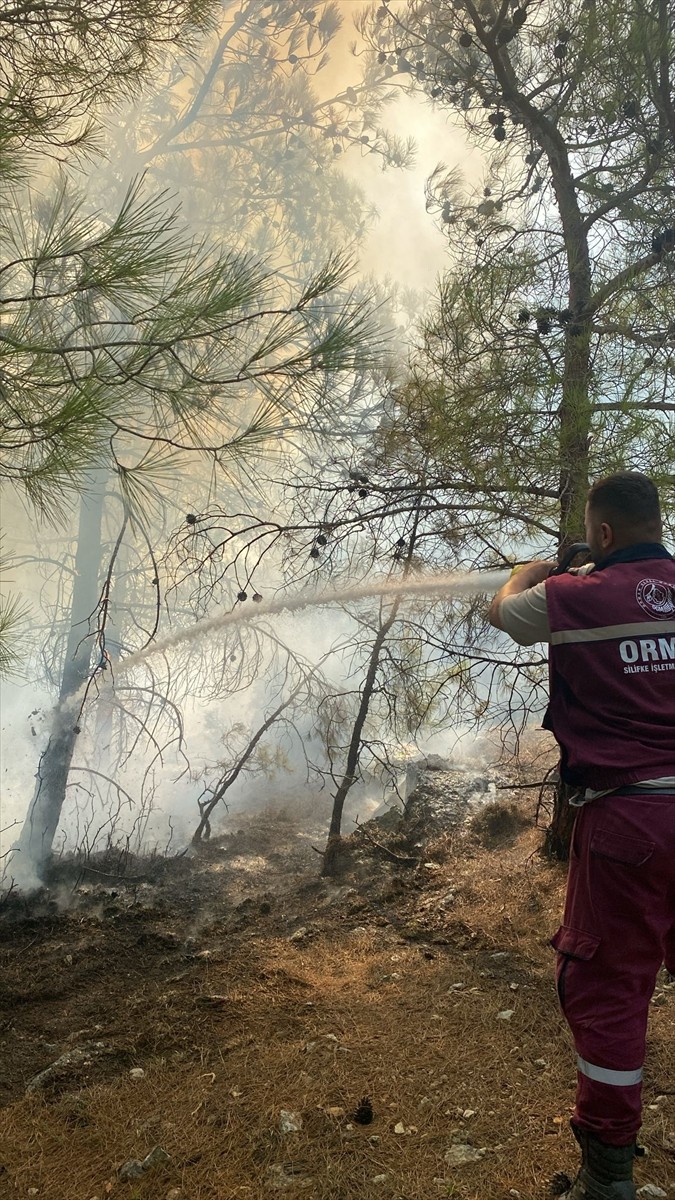 Mersin'in Silifke ilçesinde ormanlık alanda çıkan yangın söndürüldü.