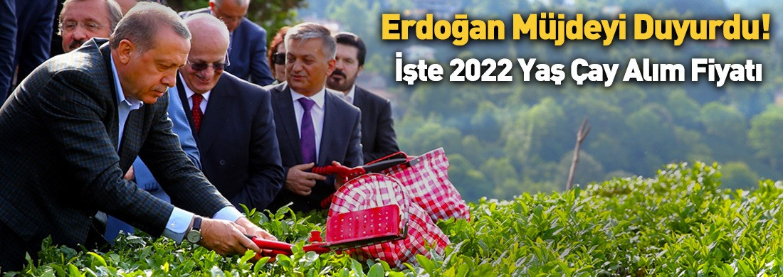 Cumhurbaşkanı Recep Tayyip Erdoğan, zamlı yaş çay alım fiyatını duyurdu!