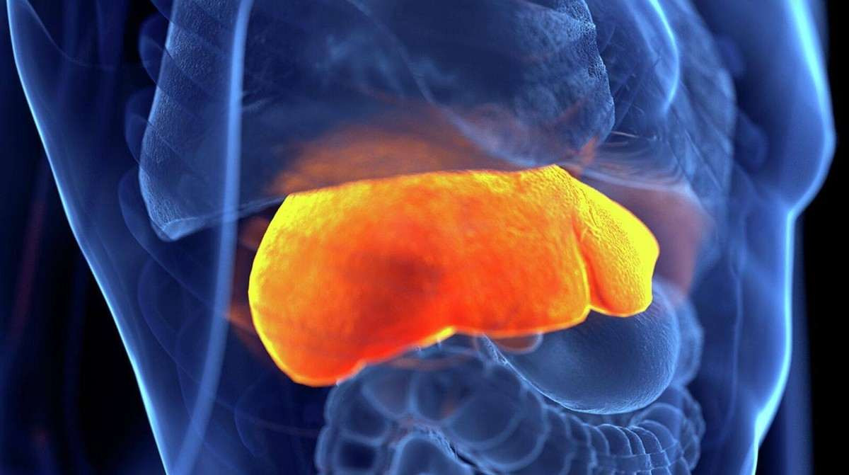 Gizemli hepatit nedir, belirtileri nelerdir