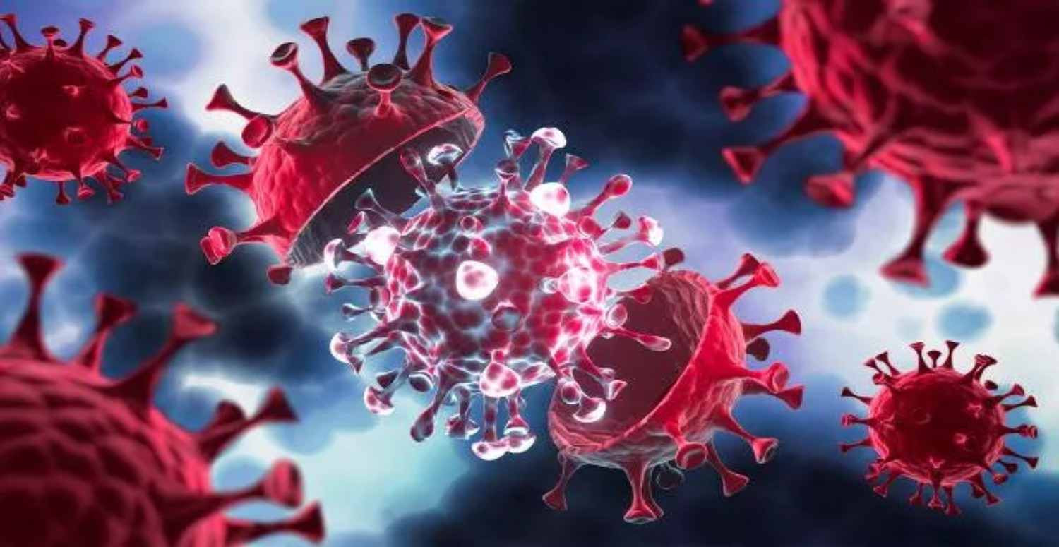 gizemli hepatit virüsü