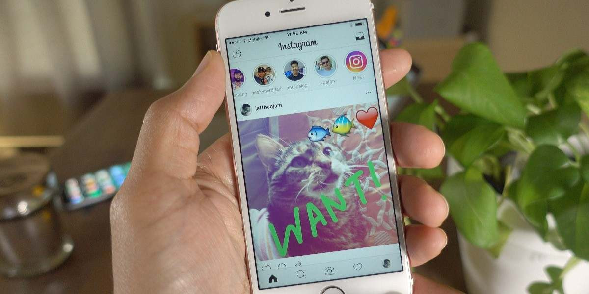 Instagram Hikaye Arşivi Nerede