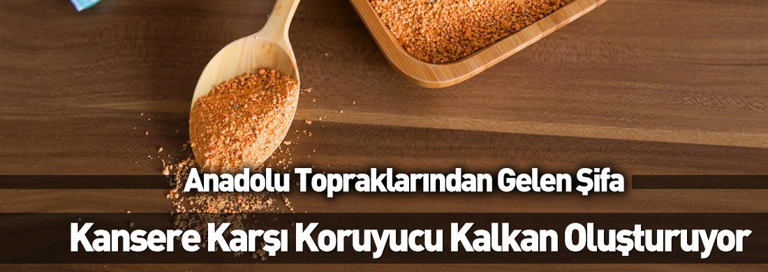 Kış aylarının sıcak lezzeti: Evde pratik ve lezzetli kışlık tarhana nasıl yapılır? Kışlık tarhana için pratik yöntemler