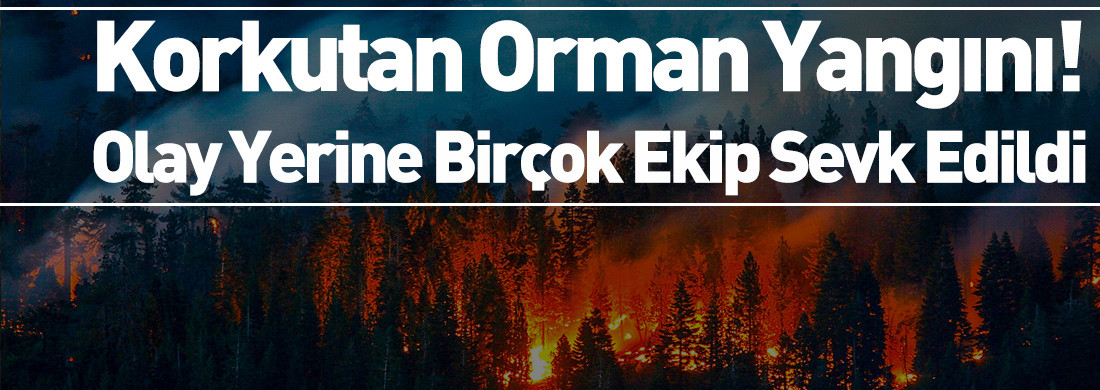 Kocaeli’nde korkutan orman yangını: Olay yerine çok sayıda ekip sevk edildi
