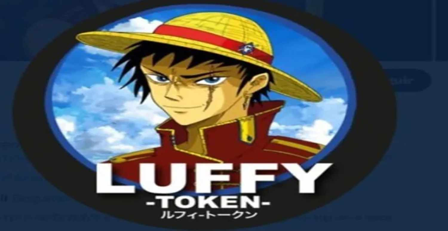 Luffy coin nedir