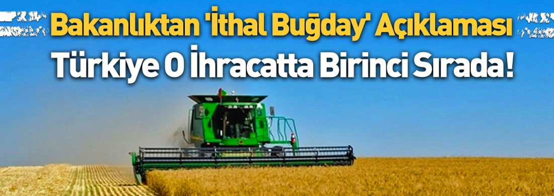 Tarım ve Orman Bakanlığı Hindistan'dan buğday ithal edildiğine dair iddialar hakkında açıklama yaptı!