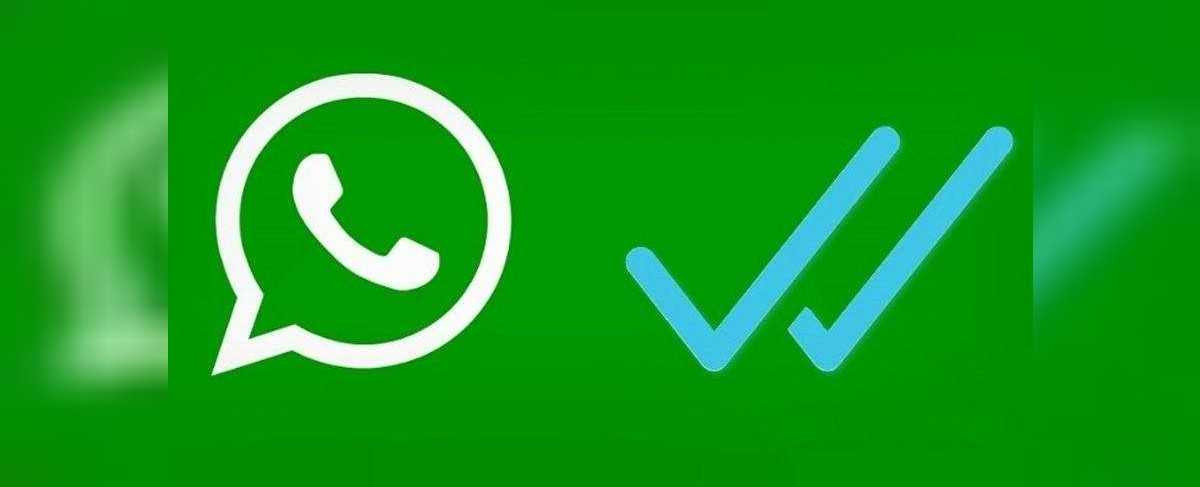 Whatsapp ihbar hatları