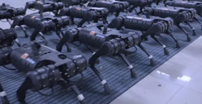 Çinli Firma Aliengo Adlı Köpek Robotlarını Tanıttı
