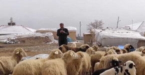 Malatya'da bin 700 rakımda yaşayan koyunların en büyük hobisi kaval dinlemek