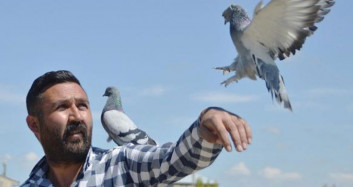 300 Güvercin İçin Aldığı Araziye, 350 Bin Lira Harcadı