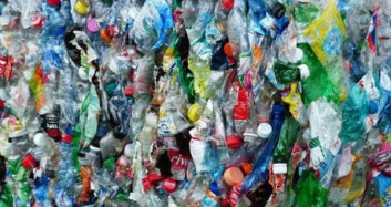 Plastik Atıkları Temizleyen Bir İnsan Değil! Masum Bir Kuğu