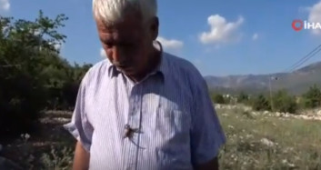 Akreplerle Oyun Oynayıp Üzerinde Gezdiren Adam İnsanları Şaşkına Çevirdi
