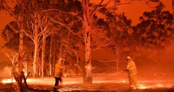 Avustralya'da Yangınların Bilançosu Artıyor