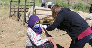 Dağ Bayır Demediler Hizmete Devam Ettiler!  Aşı Timleri Tunceli'nin Yaylalarına Çıktı