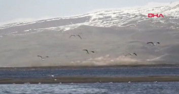 Erzurum’da Kuşlar İçin Binlerce Ekmeği Suya Bıraktılar