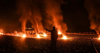 Hatay'da Çiftçiler Mahsullerini Dondan Korumak İçin Ateşle Nöbet Tuttular
