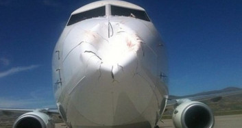 İstanbul Havalimanı Pistinde Korku Dolu Anları! THY Uçağına Kuş Çarptı