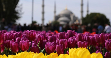 İstanbul’da Baharın Gelmesiyle Açan Laleler Görsel Şölen Oluşturdu