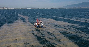 İzmit Körfezi’ndeki Deniz Salyası Temizleniyor