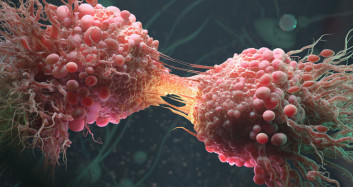 Kanser Hücrelerinin Bükemediği Tek Bilek: Mutluluk Hormonu