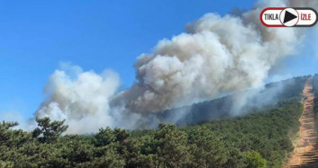 Kayışdağı'nda Korkutan Orman Yangını 