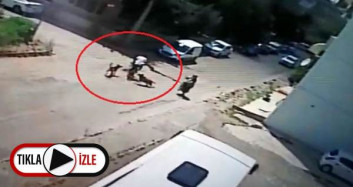 Bisiklete Bindi Başına Gelmeyen Kalmadı! Önce Köpek Saldırdı Sonra Araba Çarptı