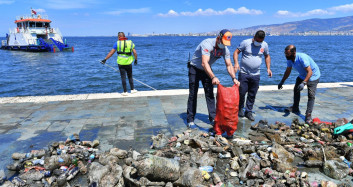 Körfezde Denizden Çıkanlar Pes Yahu Dedirtti