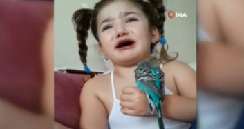 Küçük Zeynep'in Ölen Kuşu İçin Gözyaşı Döktüğü Anlar Duygulandırdı