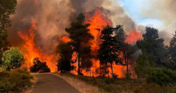 Kudüs’te Yangın Paniği! 2 Bin 650 Dönüm Arazi Küle Döndü