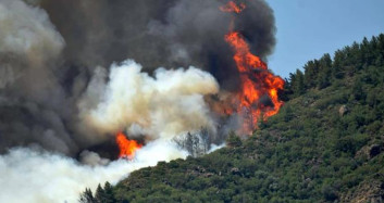 Marmaris'te Orman Yangını! Vatandaşlar Korkuyla İzledi