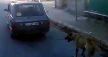 Mersin'de Bir Kişi Köpeği Araca Bağlayıp Arkasından Koşturdu