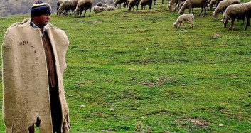 Çobanlık Mesleğini Anlatan Çonban