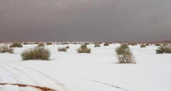 Suudi Arabistan'da Çöle Kar Yağdı