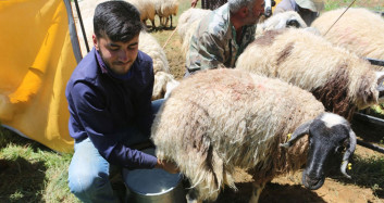 Tunceli’deki Çobanın Robert Kolejine Uzanan Başarı Öyküsü