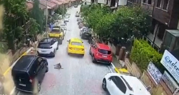 Vicdansız Adam Çareyi Kaçmakta Buldu! Eyüpsultan'da Taksi Şoförü Köpeği Ezerek Öldürdü