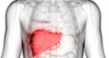 Vücudumuzun En Önemli Organlarından Karaciğerin Zehir Dolu Olduğunu Gösteren İşaretler Nelerdir!